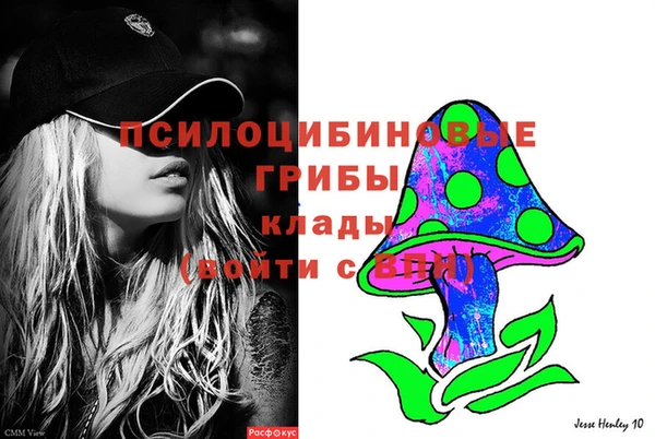 первитин Нея