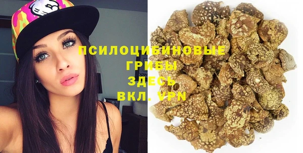 первитин Нея