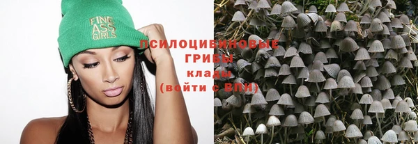 первитин Нея