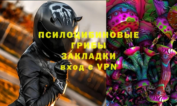 первитин Нея