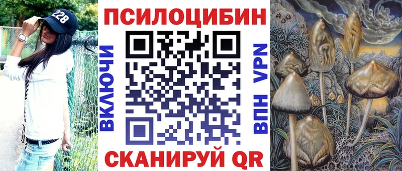 Псилоцибиновые грибы Psilocybe  хочу   Динская 