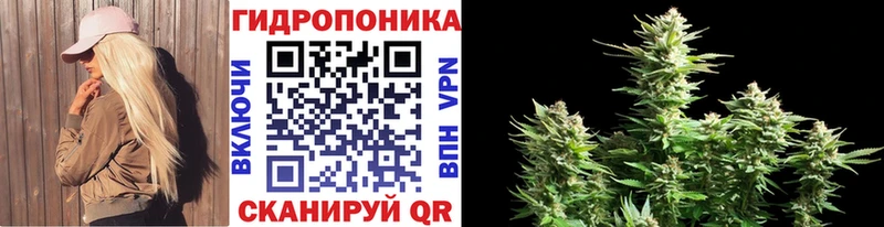 Канабис OG Kush  KRAKEN как войти  Динская 